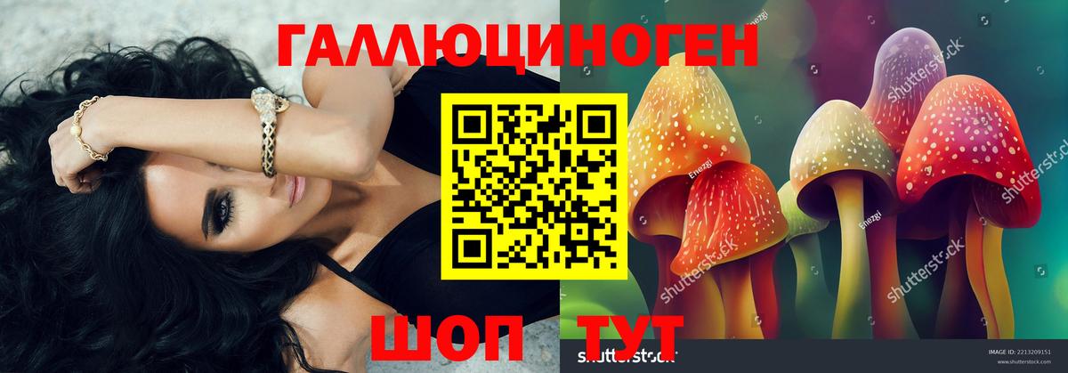 Котельники  Галлюциногенные грибы GOLDEN TEACHER  Вход с VPN 