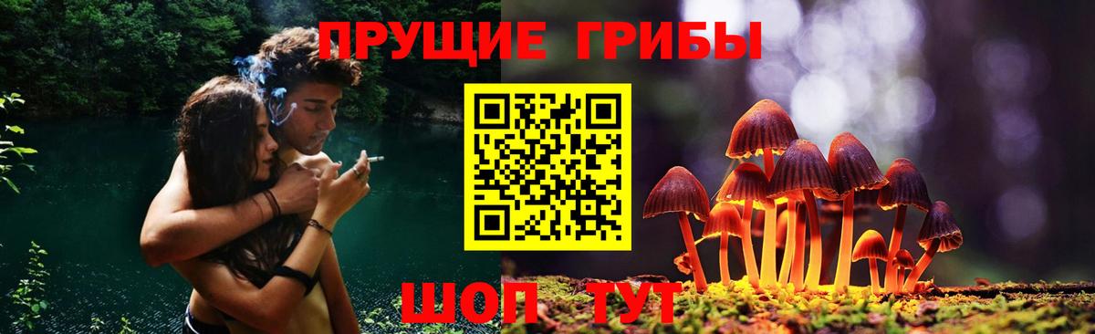 Псилоцибиновые грибы Magic Shrooms Котельники